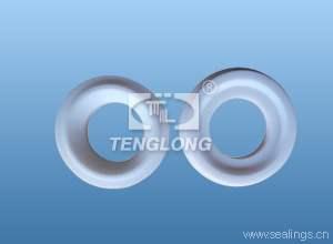 FORT VALE 1.5INCH BALL VALVE SEAL.JPG