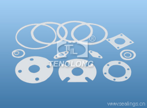 PTFE FLANGE GASKET.jpg